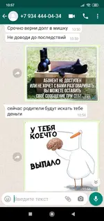 Screenshot_2020-10-31-10-57-36-479_com.whatsapp.jpg