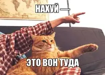 -песочница-политоты-2022-песочница-4485897.webp
